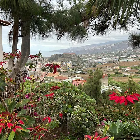Apartment Avec Vue Sur La Puerto de la Cruz (Tenerife)